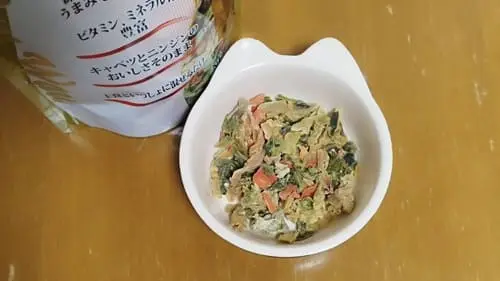 愛犬のお皿に入ったドライフード